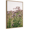 Sylvie Soft Purple Flower Blooms Framed Canvas by Patricia Hasz of Patricia Rae Photography