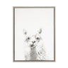 Sylvie Alpaca Framed Canvas by Simon Te of Tai Prints