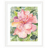 Framed Art Pink Hibiscus In Antigua by Patricia Shaw