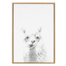 Sylvie Alpaca Framed Canvas by Simon Te of Tai Prints