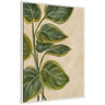 Sylvie Green Foliage Framed Canvas by Nikita Jariwala