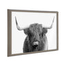 Blake Highland Cow Portrait Framed Printed Art by Amy Peterson Art Studio