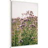Sylvie Soft Purple Flower Blooms Framed Canvas by Patricia Hasz of Patricia Rae Photography