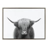 Sylvie Hey Dude Highland Cow Framed Canvas by The Creative Bunch Studio