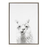 Sylvie Alpaca Framed Canvas by Simon Te of Tai Prints