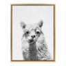 Sylvie Alpaca Framed Canvas by Simon Te of Tai Prints
