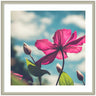 Framed Art Flower in the Sky by Stephanie Klatt