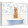 Sylvie Baby Alpaca in Hydrangea Bubble Bathtub Framed Canvas by Amy Peterson
