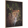 Sylvie Moody Leopard In The Rainforest Color Framed Canvas by Simon Te of Tai Prints