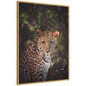 Sylvie Moody Leopard In The Rainforest Color Framed Canvas by Simon Te of Tai Prints