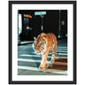 Framed Art Tiger in the City at Night 2 by Michael Schauer