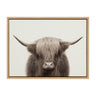 Sylvie Hey Dude Highland Cow Color Framed Canvas by The Creative Bunch Studio