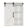 Cates Wood Wall Storage Cabinet with Sliding Barn Door