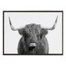 Sylvie Highland Cow Portrait Framed Canvas by Amy Peterson Art Studio