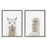 Sylvie Alpaca Front and Alpaca Back Framed Canvas Art Set by Amy Peterson Art Studio