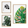 Sylvie EV Monstera, 582 Monstera and Monstera Leaves Framed Canvas Art Set by Various Artists