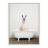 Sylvie Alpaca in the Tub Color Framed Canvas by Amy Peterson Art Studio