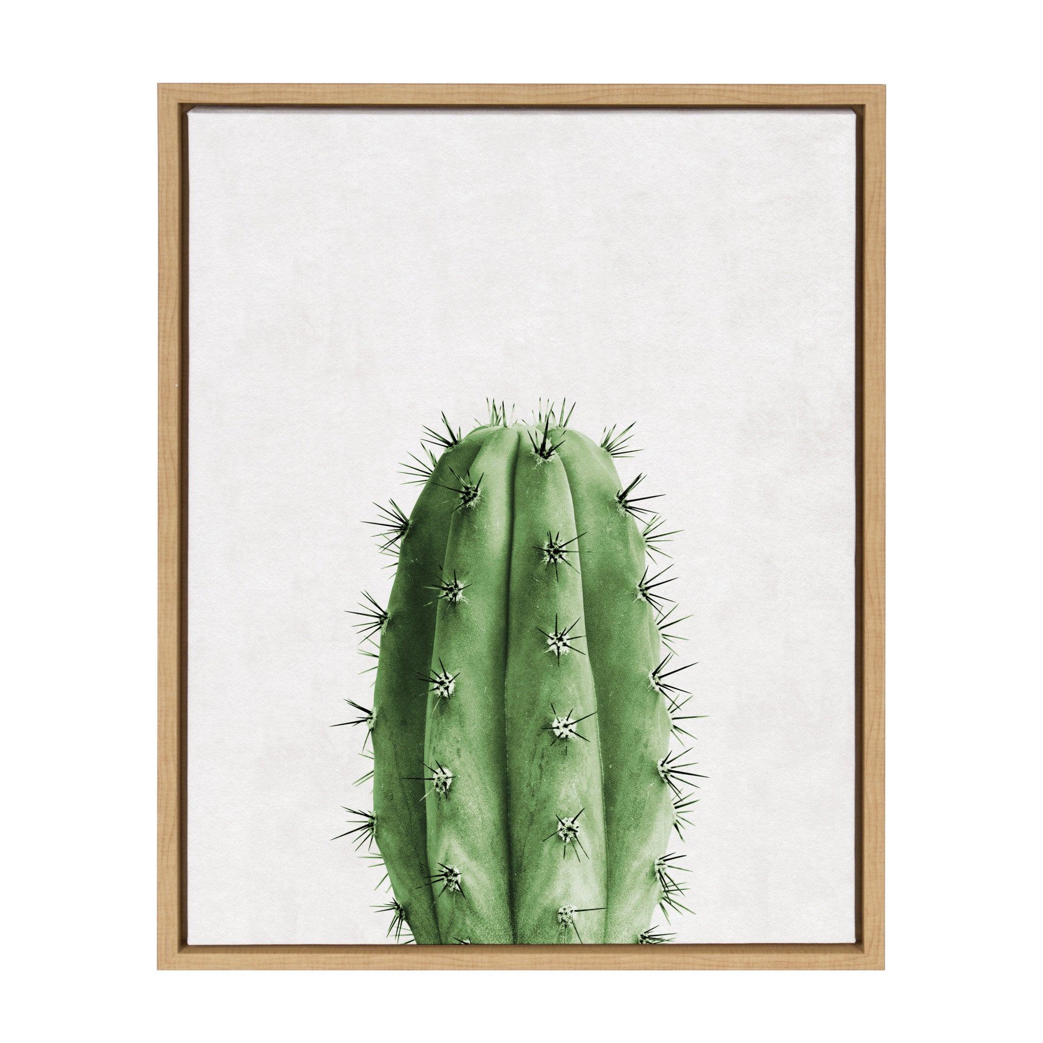cactus kate san pedro Sylvie Cactus Vertical Framed Canvas Wall Art, Natural 18 x 24, Kate and Laurel