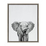 Sylvie Baby Elephant Framed Canvas by Simon Te