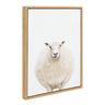 Sylvie Round Sheep Portrait Framed Canvas by Amy Peterson Art Studio