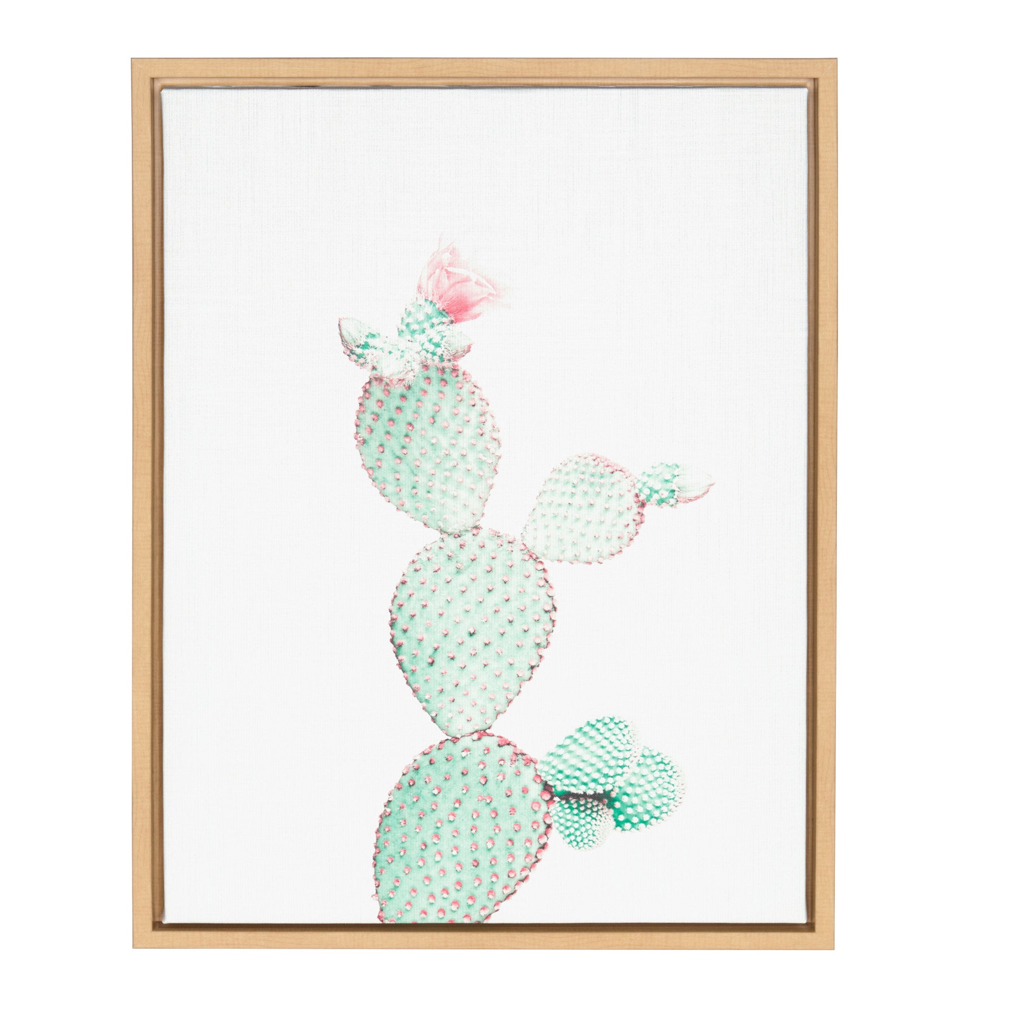prickly pear cactus art Kate and Laurel Sylvie Prickly Pear Cactus Natural Framed Canvas Wall Art by Simon Te Tai