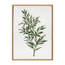 Sylvie Ruscus Framed Canvas by Patricia Shaw