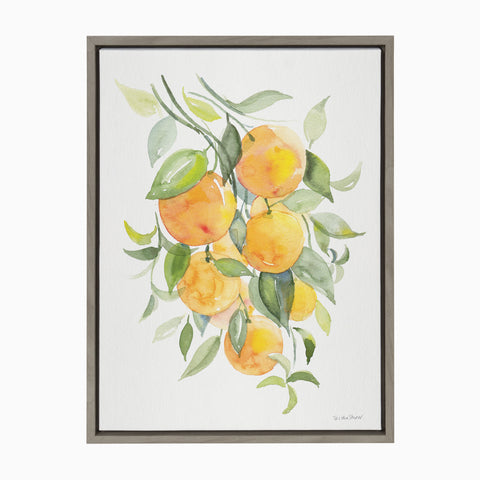 Sylvie Orange Citrus Framed Canvas by Patricia Shaw