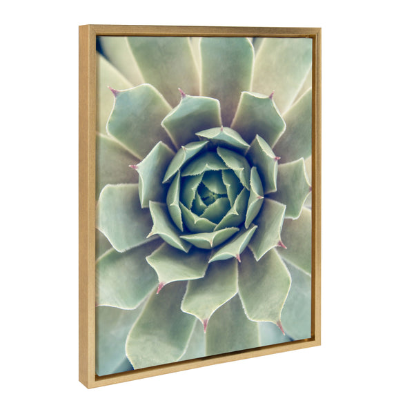 Kate and Laurel Sylvie Succulent 8, Succulent 1, and Succulent 5 Framed Canvas Wall Art Set by Emiko and Mark Franzen of F2Images, 3 Piece Set Natural, Modern Dramatic Botanical Wall Décor