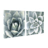 Soft Botanical Succulents by The Creative Bunch Studio