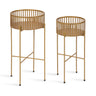 Paynter Plant Stand Set