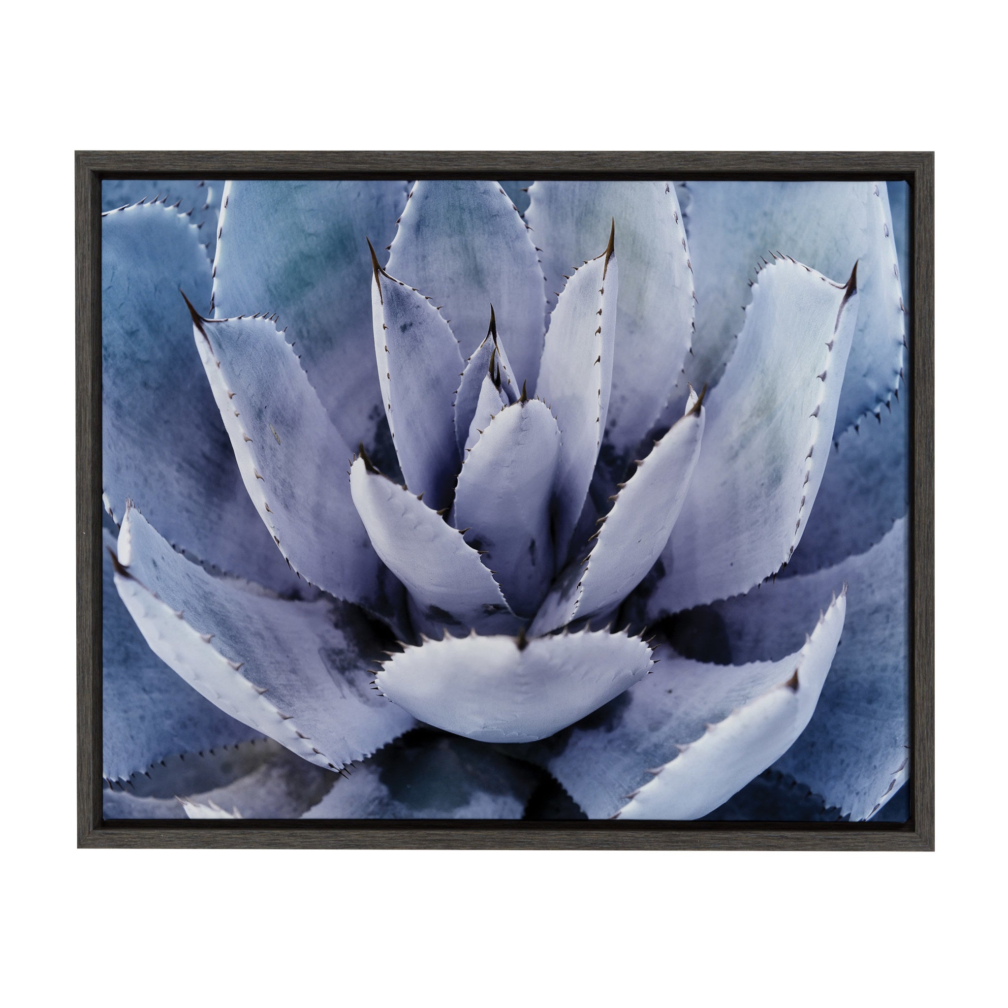 cactus and succulent art Kate and Laurel Sylvie Violet Cactus Framed Canvas by Amy Peterson