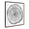 Sylvie Tree Rings Framed Canvas by Emiko and Mark Franzen of F2Images
