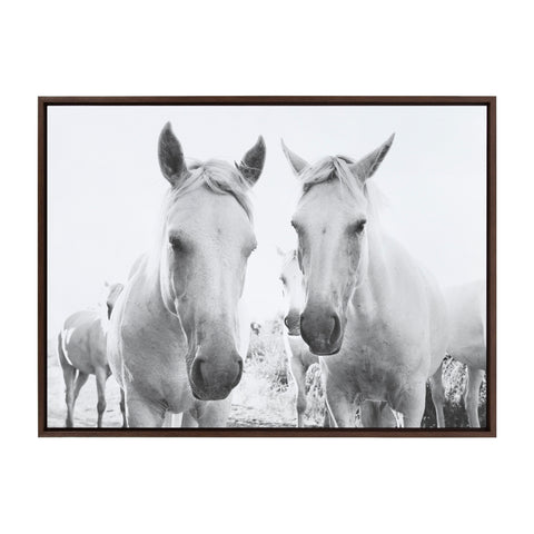 Sylvie Camargue Horse XVII BW Framed Canvas by Laura Evans