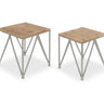 Uzma 2-Set Nesting Metal/Wood End Tables