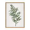 Sylvie Ruscus Framed Canvas by Patricia Shaw