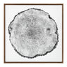 Sylvie Tree Rings Framed Canvas by Emiko and Mark Franzen of F2Images