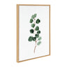 Sylvie Eucalyptus 3b Framed Canvas by Maja Mitrovic of Makes My Day Happy