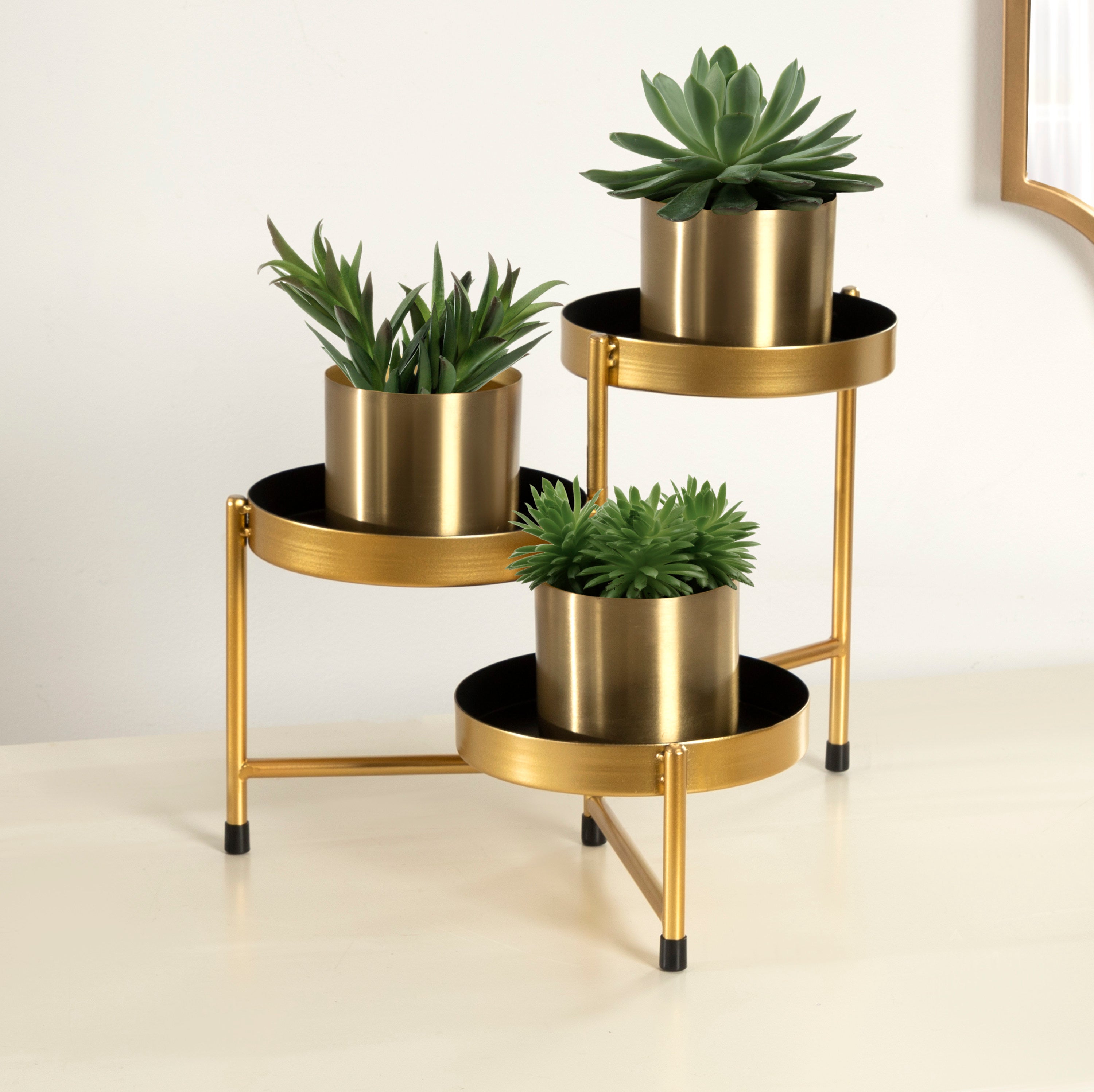 How to Create the Perfect Plant Corner