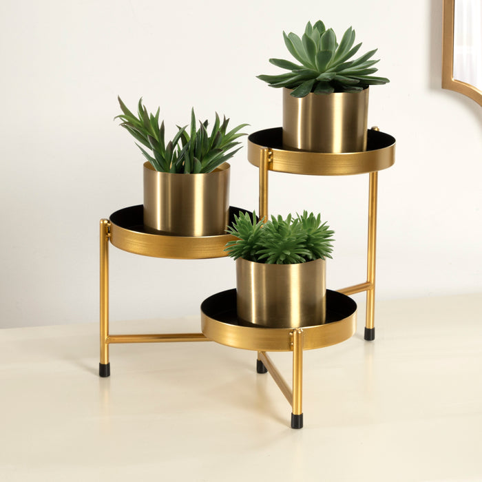 How to Create the Perfect Plant Corner