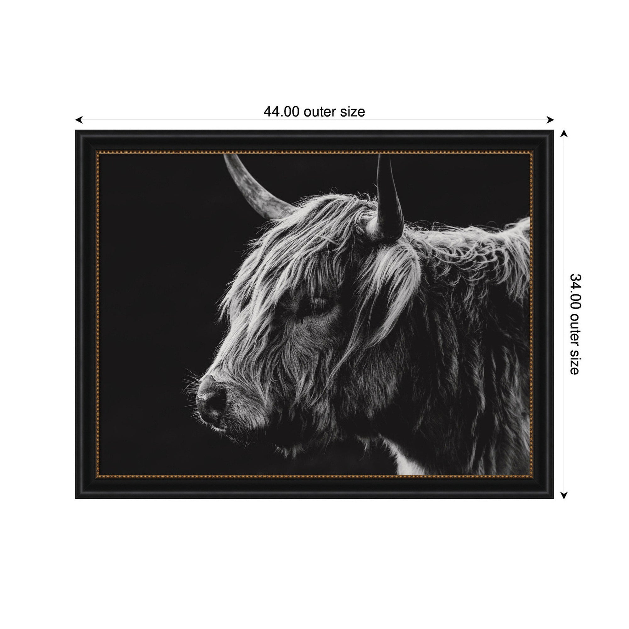 Scottish Highland by Crystal Lynn Collins Framed Wall Art Print