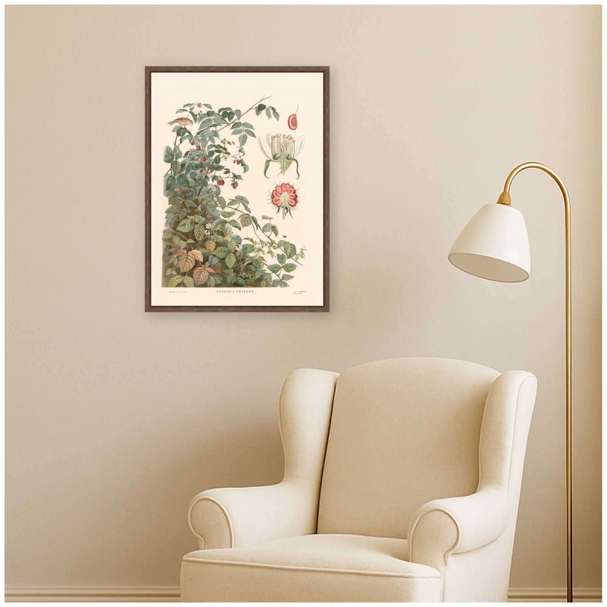 Framed Canvas 18x24 Sylvie Walnut 5