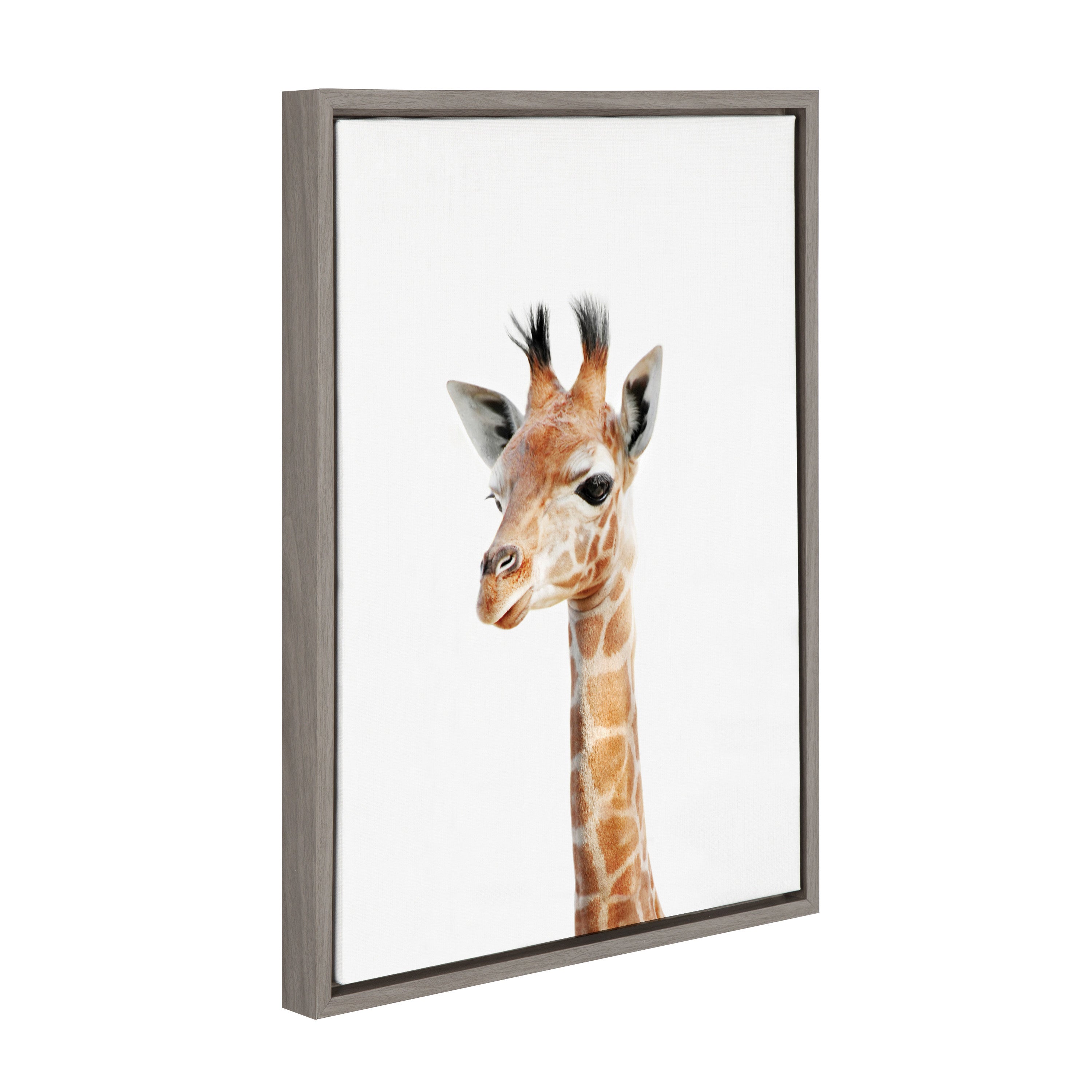 Sylvie Baby Giraffe Framed Canvas by Amy Peterson