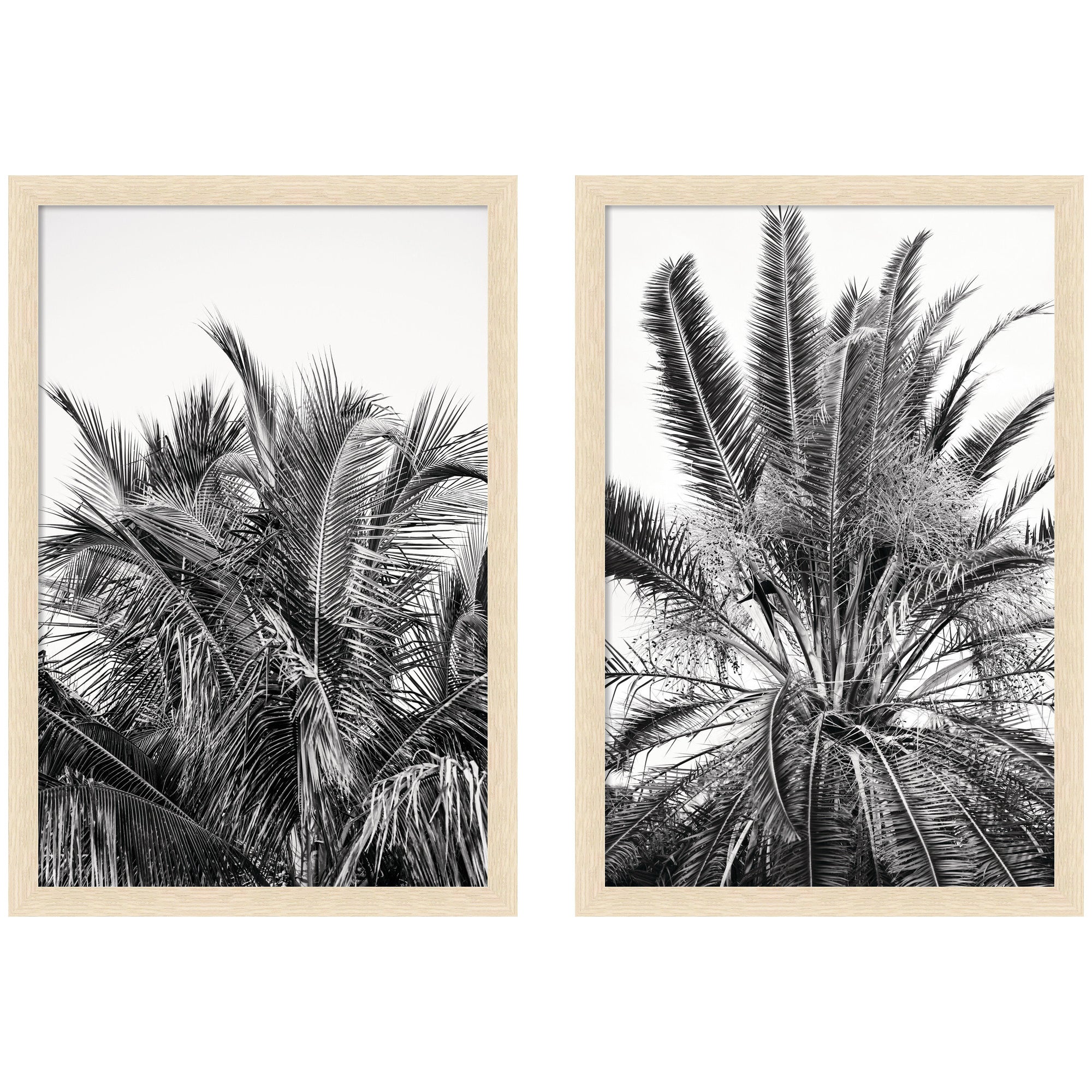 Palm No. 13 & 15 2 Piece Framed Wall Art Print Set by Alicia Bock
