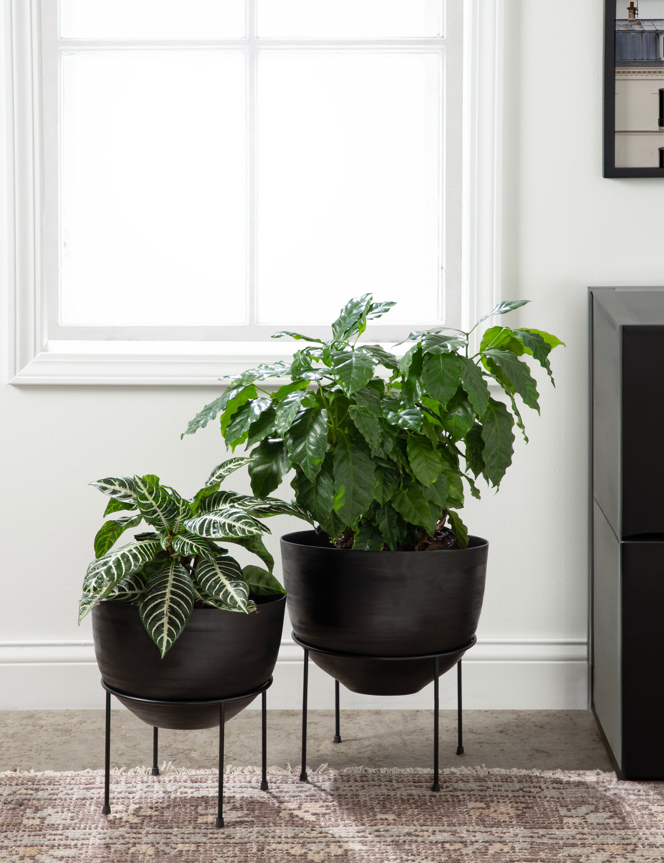 Freestanding Planter Black 2 Piece 6