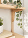 Accent Shelf Natural 24x8x24 7