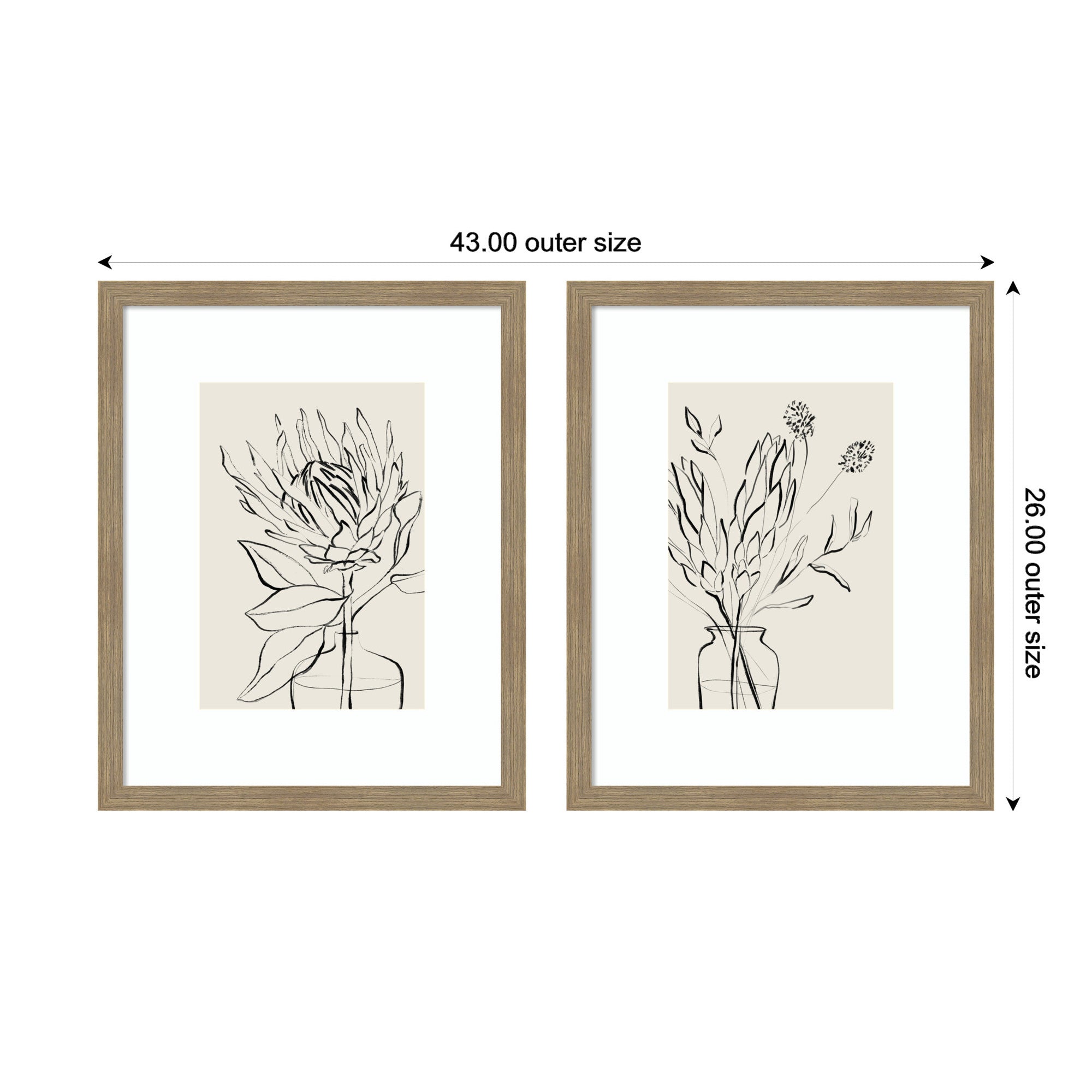 SB Protea Sketch No. 1 & No. 2 2 Piece Framed Wall Art Print Set by Sara Berrenson