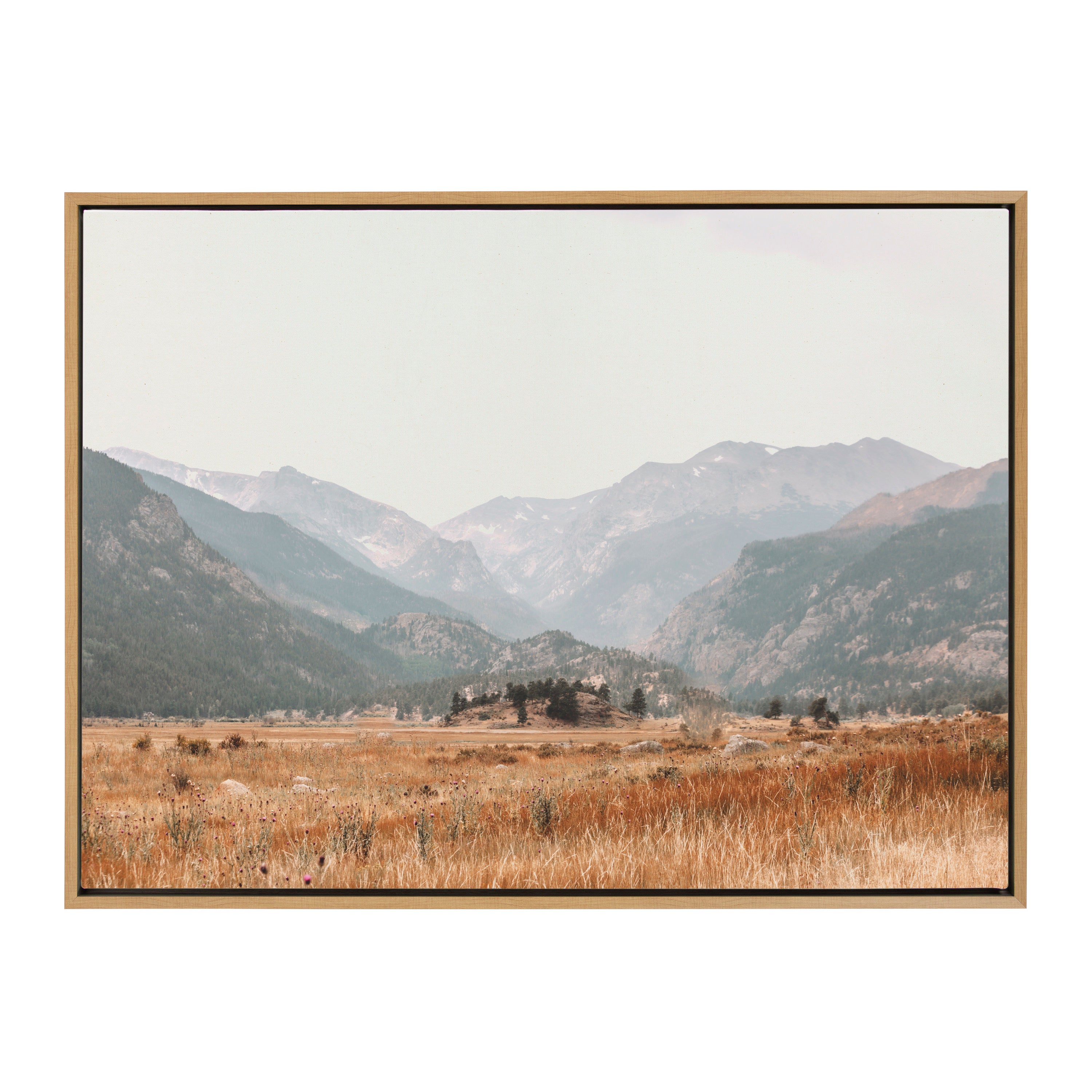 Framed Canvas 28x38 Sylvie Natural 2