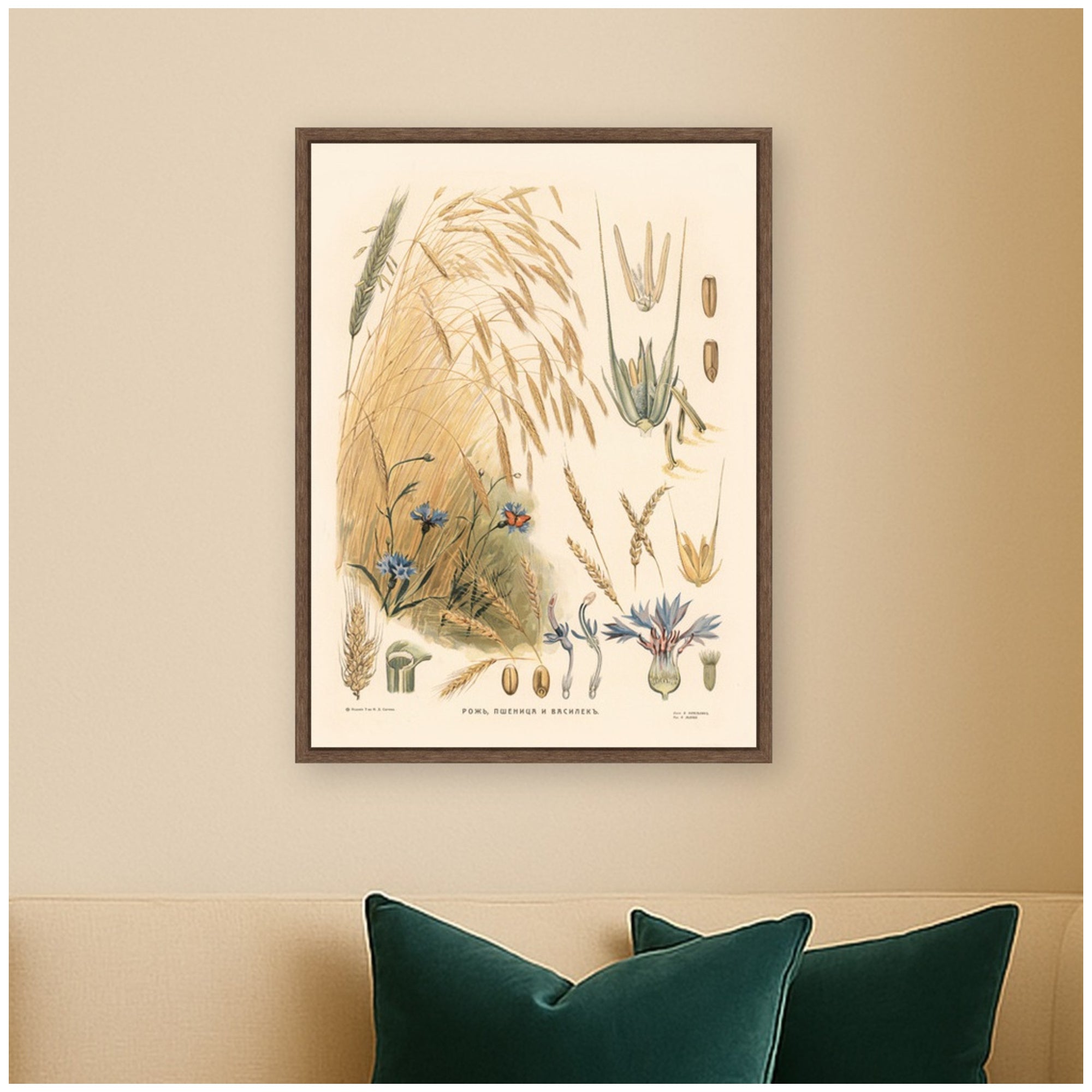Framed Canvas 18x24 Sylvie Walnut 5