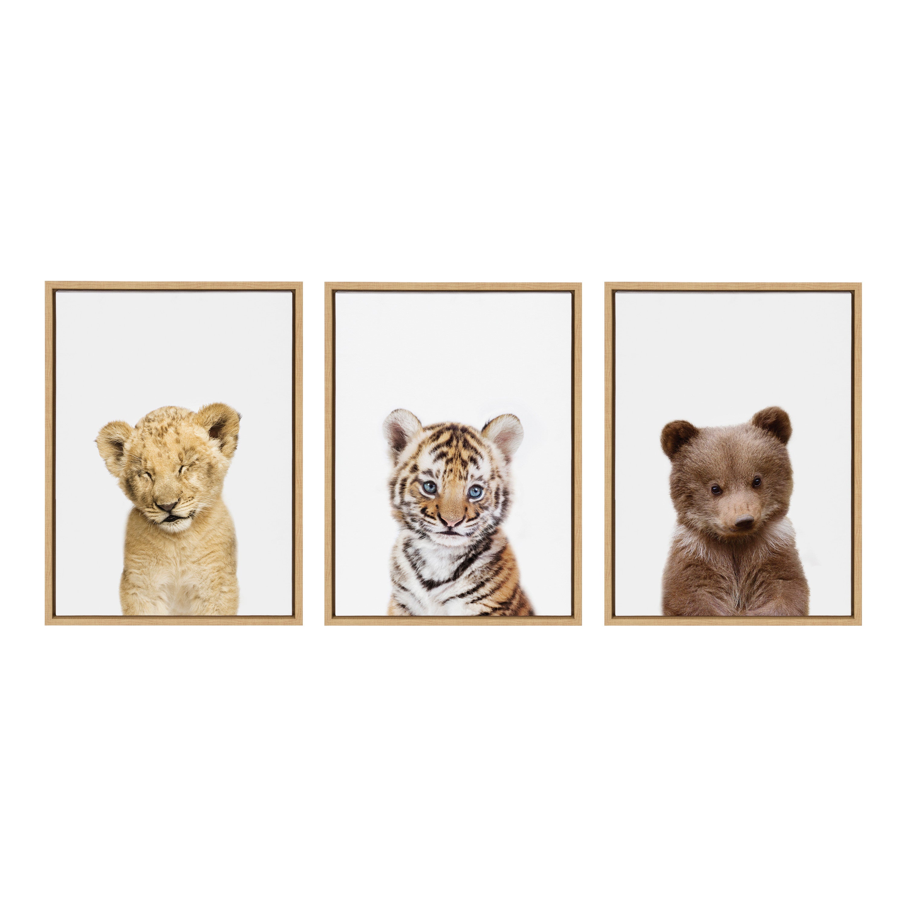 Sylvie Lions and Tigers and Bears Framed Canvas Art Set by Amy Peterson Art Studio