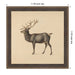 Mounted Canvas Hardwood Wedge Mocha 11x11 2